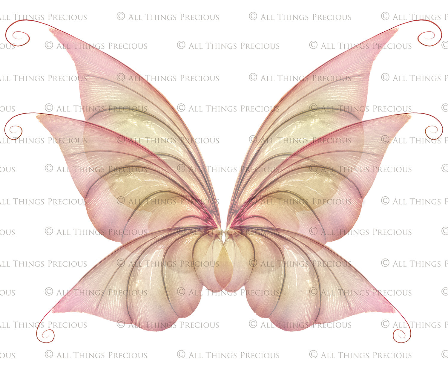 Digital Faery Wing Overlays. Png overlays for photoshop. Photography editing. High resolution, 300dpi fairy wings. Overlays for photography. Digital stock and resources. Graphic design. Fairy Photos. Colourful Fairy wings. Faerie Wings. ATP Textures. Overlays. Actions, Textures, Photo Resources, Photoshop.